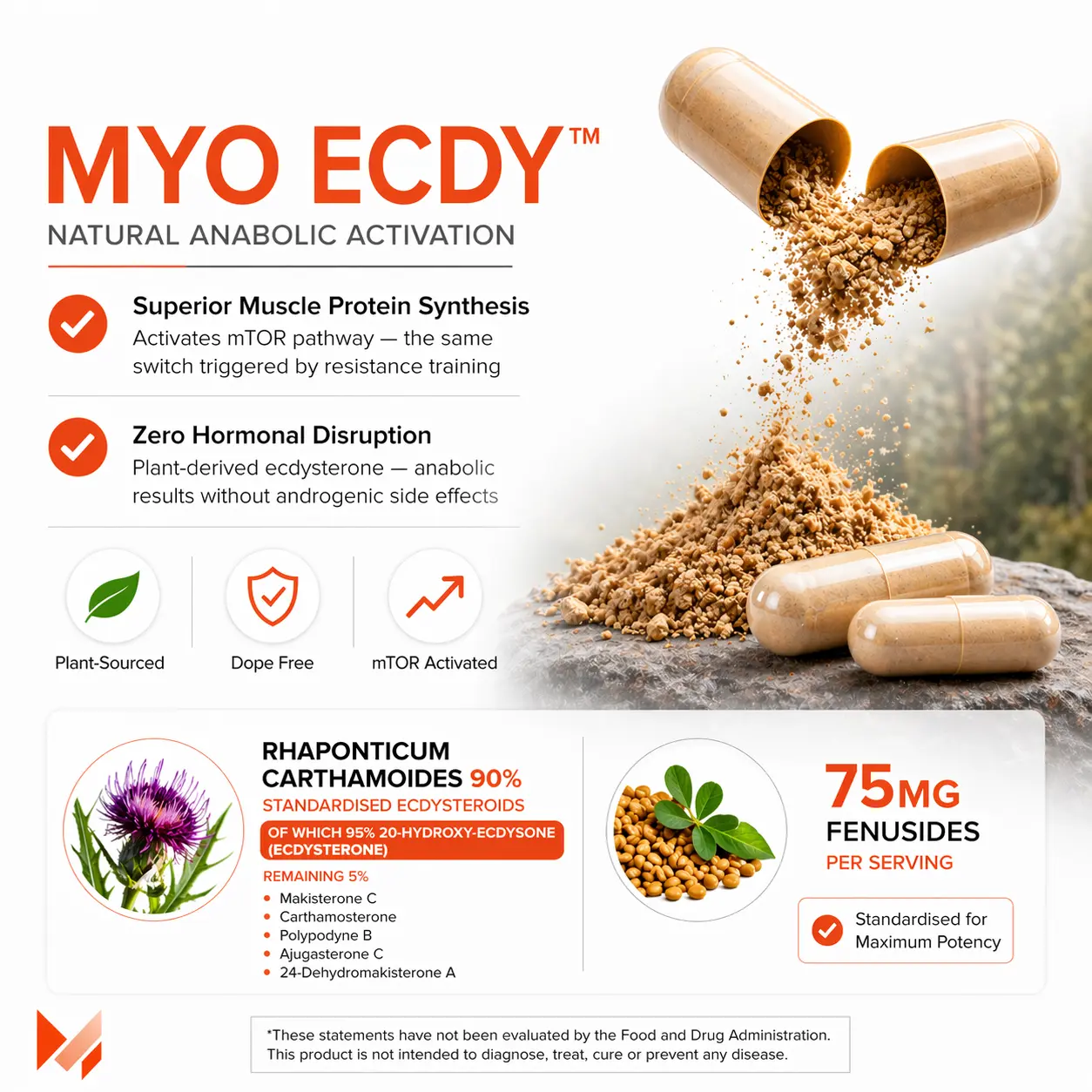 MYO ECDY™ — Ecdysterone Complex - Image 7